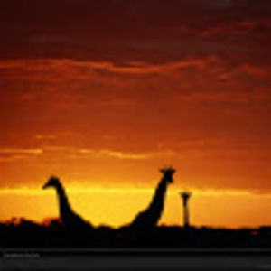 Meet your Posher, Sunghee